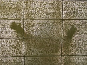 Glass-Concrete