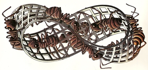 escher mobius-strip