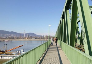 on the bridge